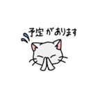 3匹の猫スタンプ❤️（個別スタンプ：17）