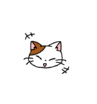 3匹の猫スタンプ❤️（個別スタンプ：24）