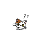 3匹の猫スタンプ❤️（個別スタンプ：30）