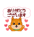 柴犬「ムサシ」61 あると便利な敬語（個別スタンプ：3）