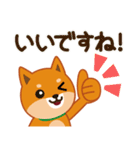 柴犬「ムサシ」61 あると便利な敬語（個別スタンプ：4）