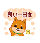 柴犬「ムサシ」61 あると便利な敬語（個別スタンプ：13）