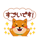 柴犬「ムサシ」61 あると便利な敬語（個別スタンプ：17）