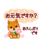 柴犬「ムサシ」61 あると便利な敬語（個別スタンプ：18）