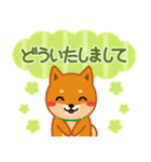 柴犬「ムサシ」61 あると便利な敬語（個別スタンプ：24）