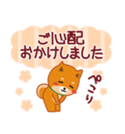 柴犬「ムサシ」61 あると便利な敬語（個別スタンプ：26）