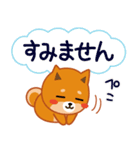 柴犬「ムサシ」61 あると便利な敬語（個別スタンプ：28）