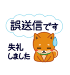 柴犬「ムサシ」61 あると便利な敬語（個別スタンプ：30）