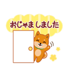 柴犬「ムサシ」61 あると便利な敬語（個別スタンプ：32）
