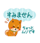 柴犬「ムサシ」61 あると便利な敬語（個別スタンプ：33）