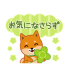 柴犬「ムサシ」61 あると便利な敬語（個別スタンプ：34）