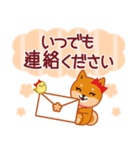 柴犬「ムサシ」61 あると便利な敬語（個別スタンプ：36）