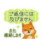 柴犬「ムサシ」61 あると便利な敬語（個別スタンプ：39）