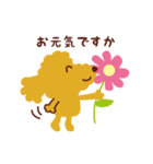 トイプードル_うれし、たのし（個別スタンプ：1）