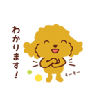 トイプードル_うれし、たのし（個別スタンプ：6）