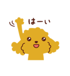 トイプードル_うれし、たのし（個別スタンプ：11）