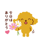 トイプードル_うれし、たのし（個別スタンプ：12）