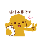 トイプードル_うれし、たのし（個別スタンプ：13）