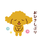 トイプードル_うれし、たのし（個別スタンプ：14）