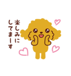 トイプードル_うれし、たのし（個別スタンプ：17）