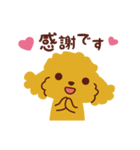 トイプードル_うれし、たのし（個別スタンプ：19）
