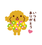 トイプードル_うれし、たのし（個別スタンプ：21）