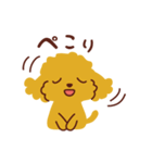 トイプードル_うれし、たのし（個別スタンプ：23）