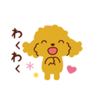 トイプードル_うれし、たのし（個別スタンプ：26）