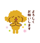 トイプードル_うれし、たのし（個別スタンプ：36）