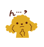 トイプードル_うれし、たのし（個別スタンプ：38）
