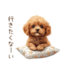 行きたくない！休みたいトイプードル（個別スタンプ：1）