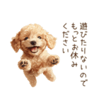 行きたくない！休みたいトイプードル（個別スタンプ：7）