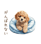 行きたくない！休みたいトイプードル（個別スタンプ：19）