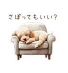行きたくない！休みたいトイプードル（個別スタンプ：20）