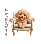 行きたくない！休みたいトイプードル（個別スタンプ：24）