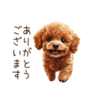 行きたくない！休みたいトイプードル（個別スタンプ：26）