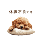 行きたくない！休みたいトイプードル（個別スタンプ：29）