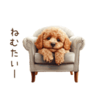 行きたくない！休みたいトイプードル（個別スタンプ：31）