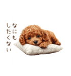 行きたくない！休みたいトイプードル（個別スタンプ：33）