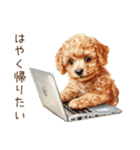 行きたくない！休みたいトイプードル（個別スタンプ：35）