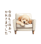 行きたくない！休みたいトイプードル（個別スタンプ：38）