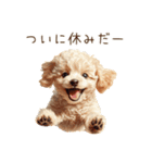 行きたくない！休みたいトイプードル（個別スタンプ：40）