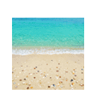 夏＊きらめく貝殻ビーチ（個別スタンプ：6）