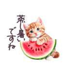 梅雨 夏 毎日使える でか文字 ねこ 日常（個別スタンプ：3）