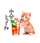 梅雨 夏 毎日使える でか文字 ねこ 日常（個別スタンプ：6）