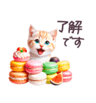 梅雨 夏 毎日使える でか文字 ねこ 日常（個別スタンプ：17）