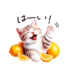 梅雨 夏 毎日使える でか文字 ねこ 日常（個別スタンプ：18）