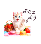 梅雨 夏 毎日使える でか文字 ねこ 日常（個別スタンプ：21）