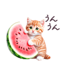 梅雨 夏 毎日使える でか文字 ねこ 日常（個別スタンプ：36）
