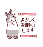 うさぎたちの敬語でご挨拶（個別スタンプ：10）
